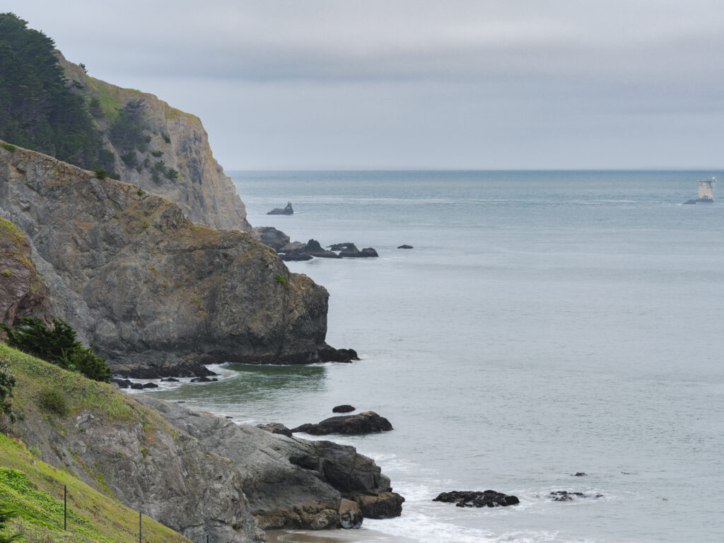 Sea Cliff